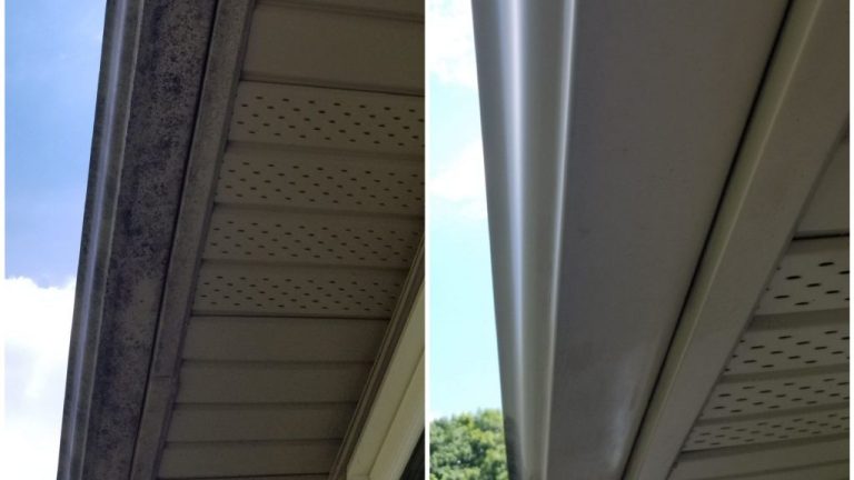 Gutter Cleaning